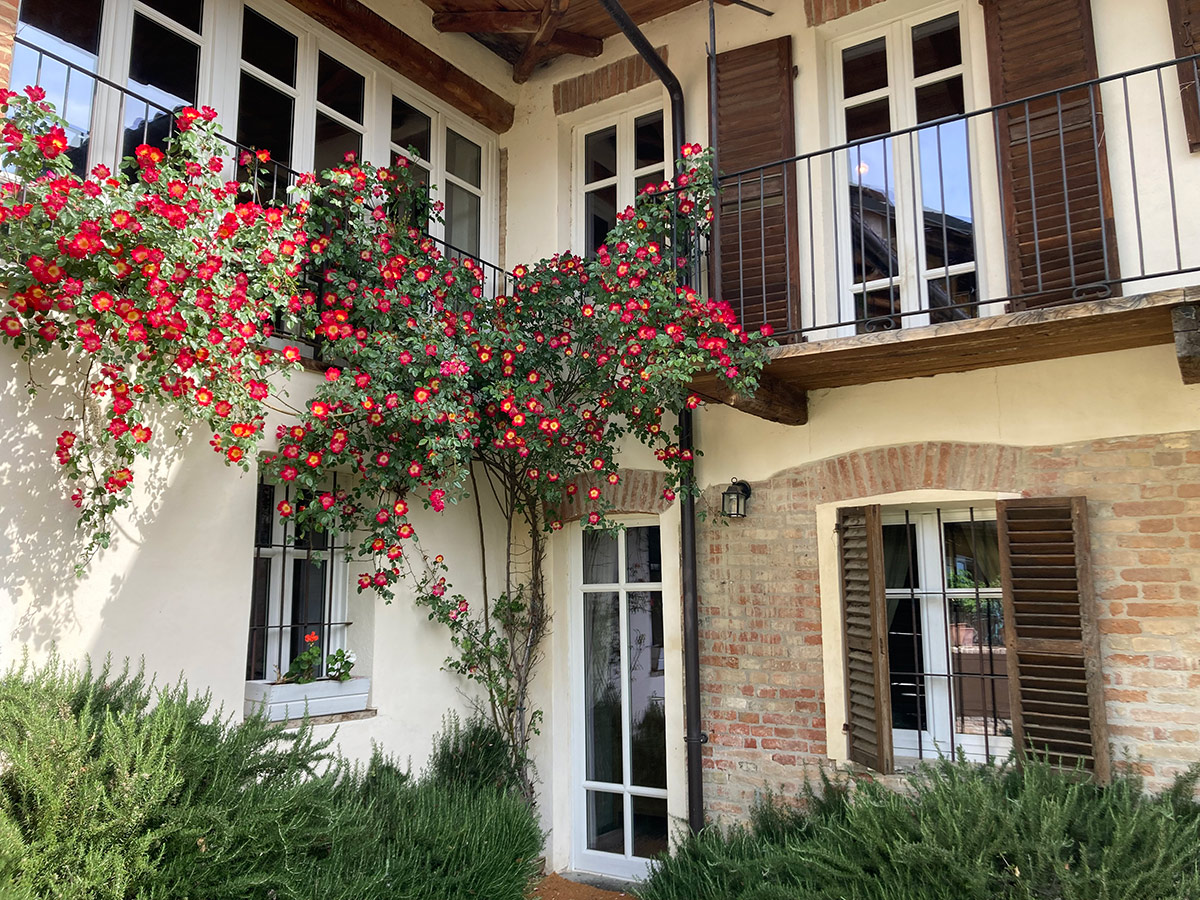 /api/file/public/265462/31592