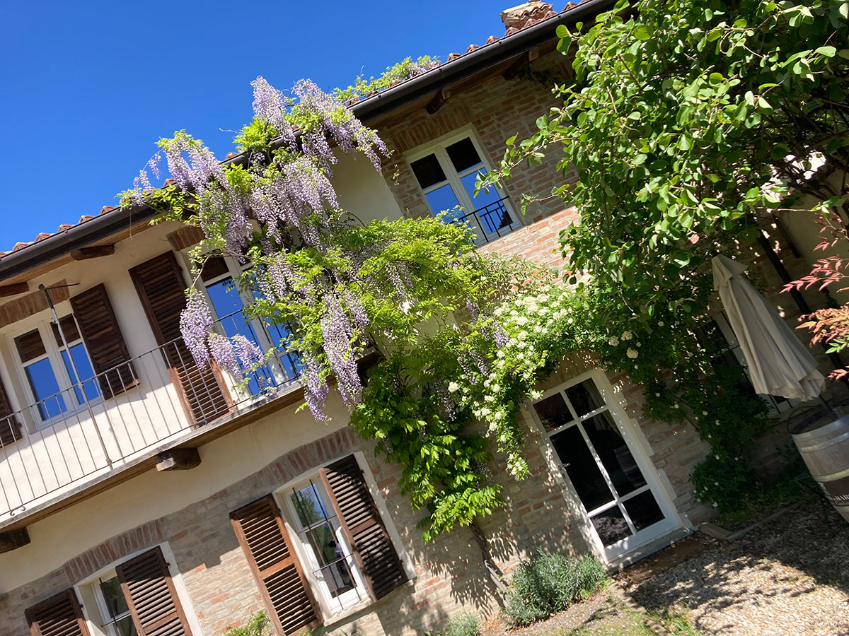 /api/file/public/265462/31594