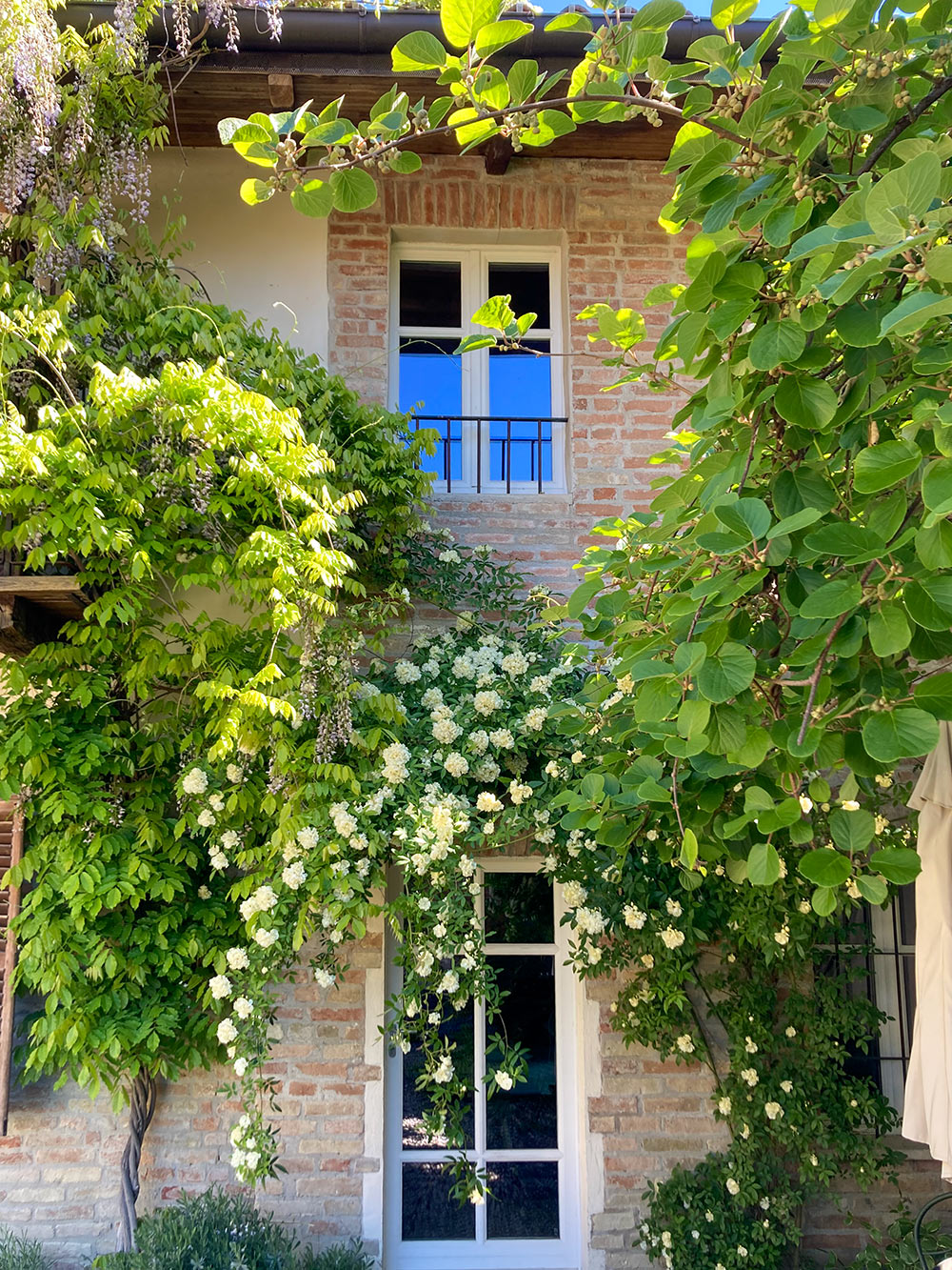 /api/file/public/265462/31597