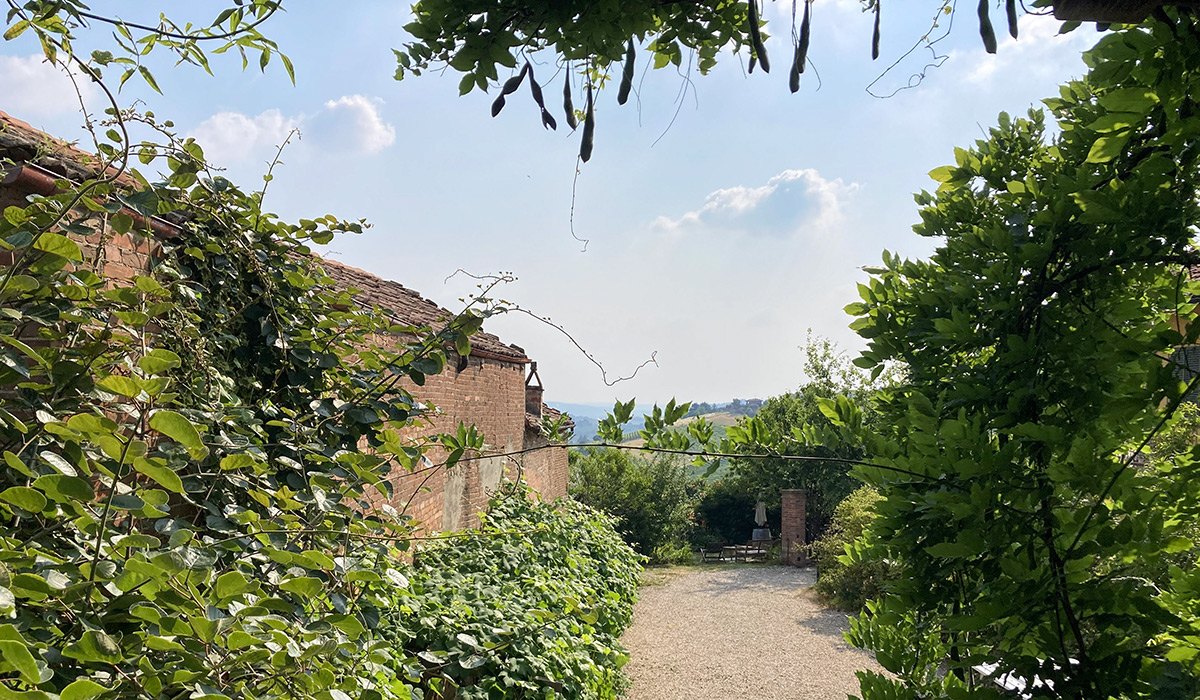 /api/file/public/265462/31599