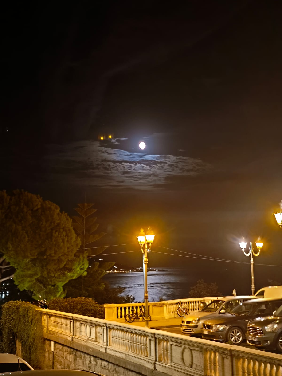 /api/file/public/265480/31641