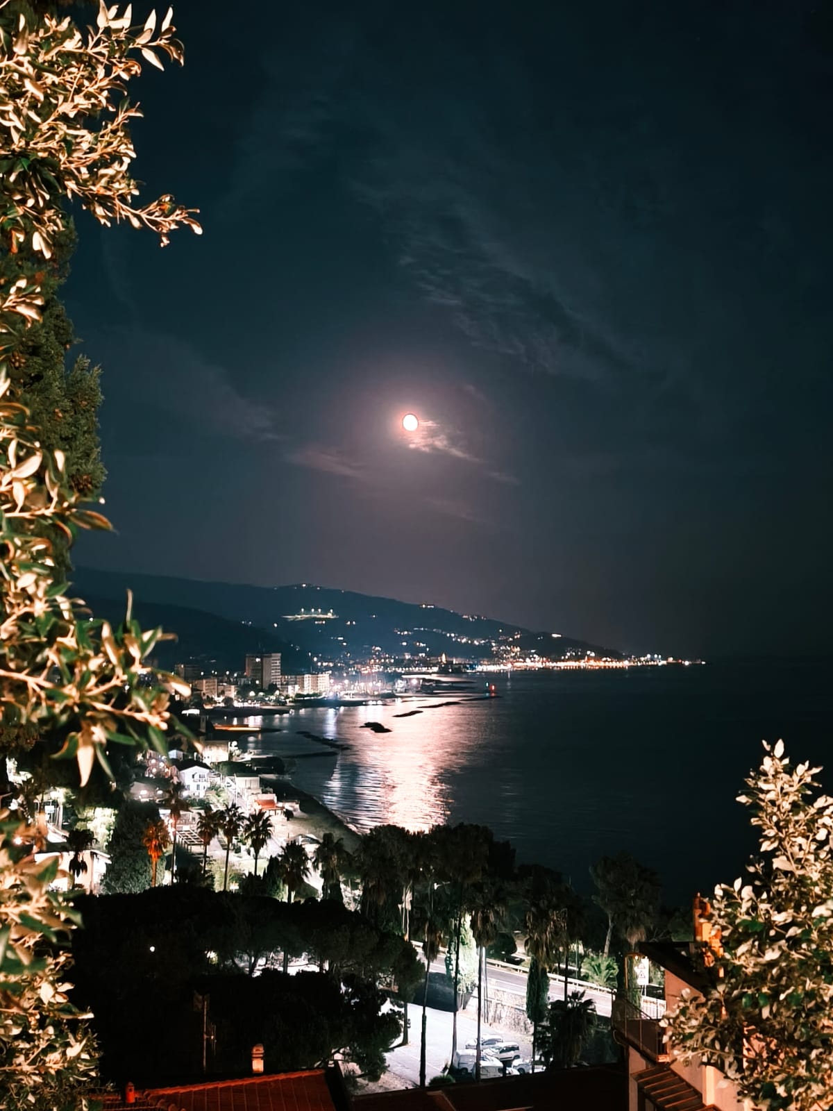 /api/file/public/265480/31642