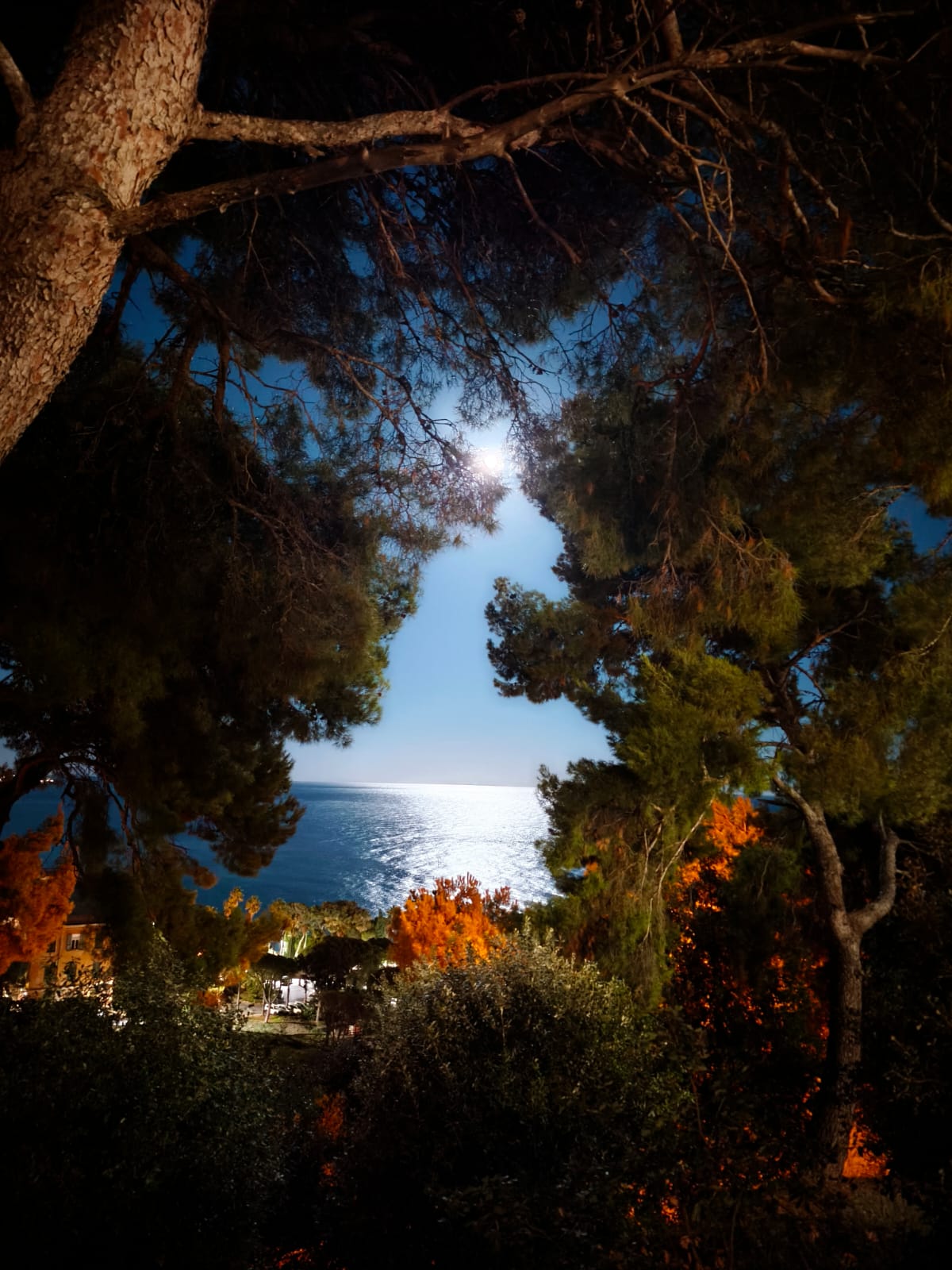 /api/file/public/265480/31643