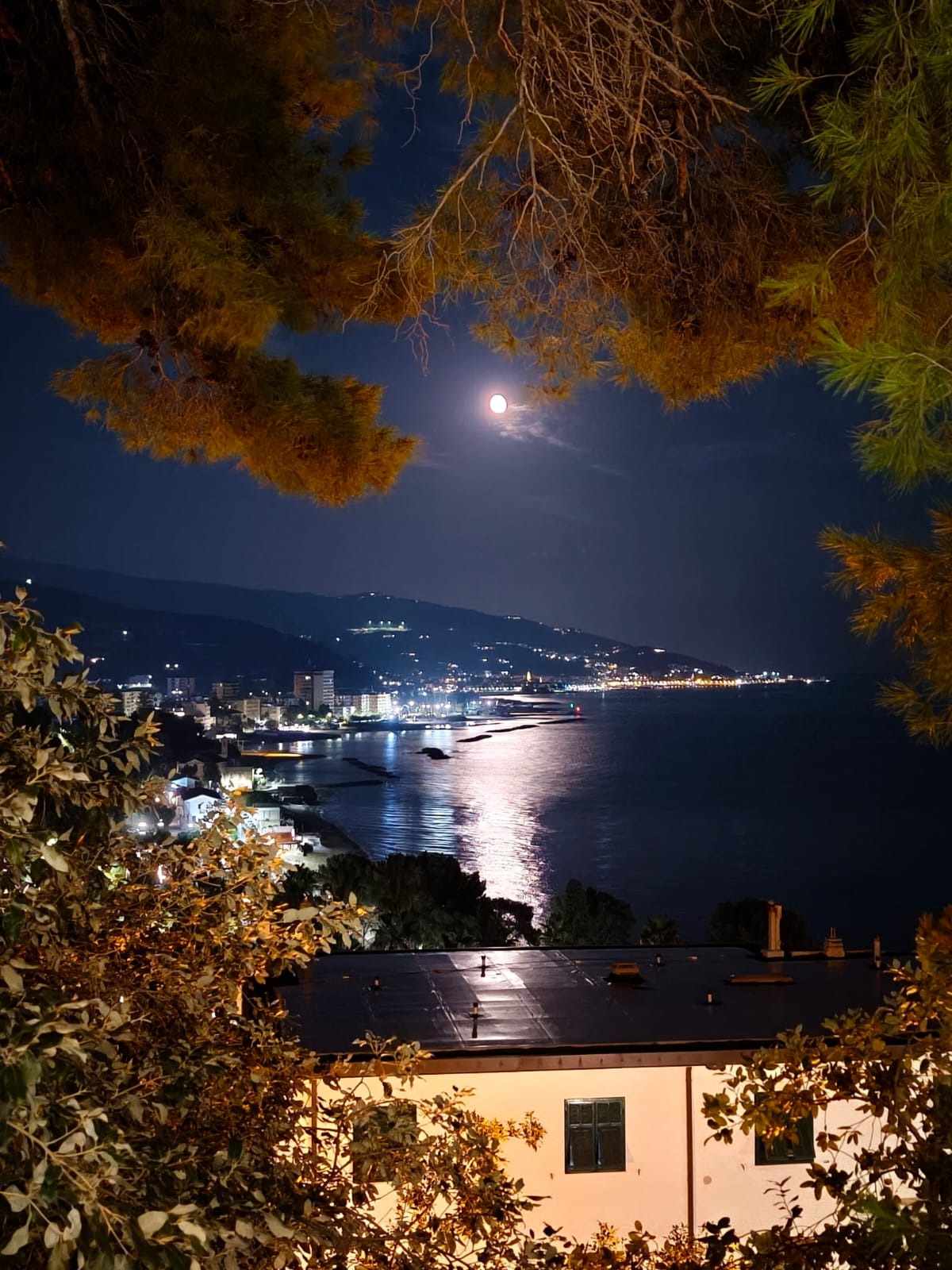 /api/file/public/265480/31644