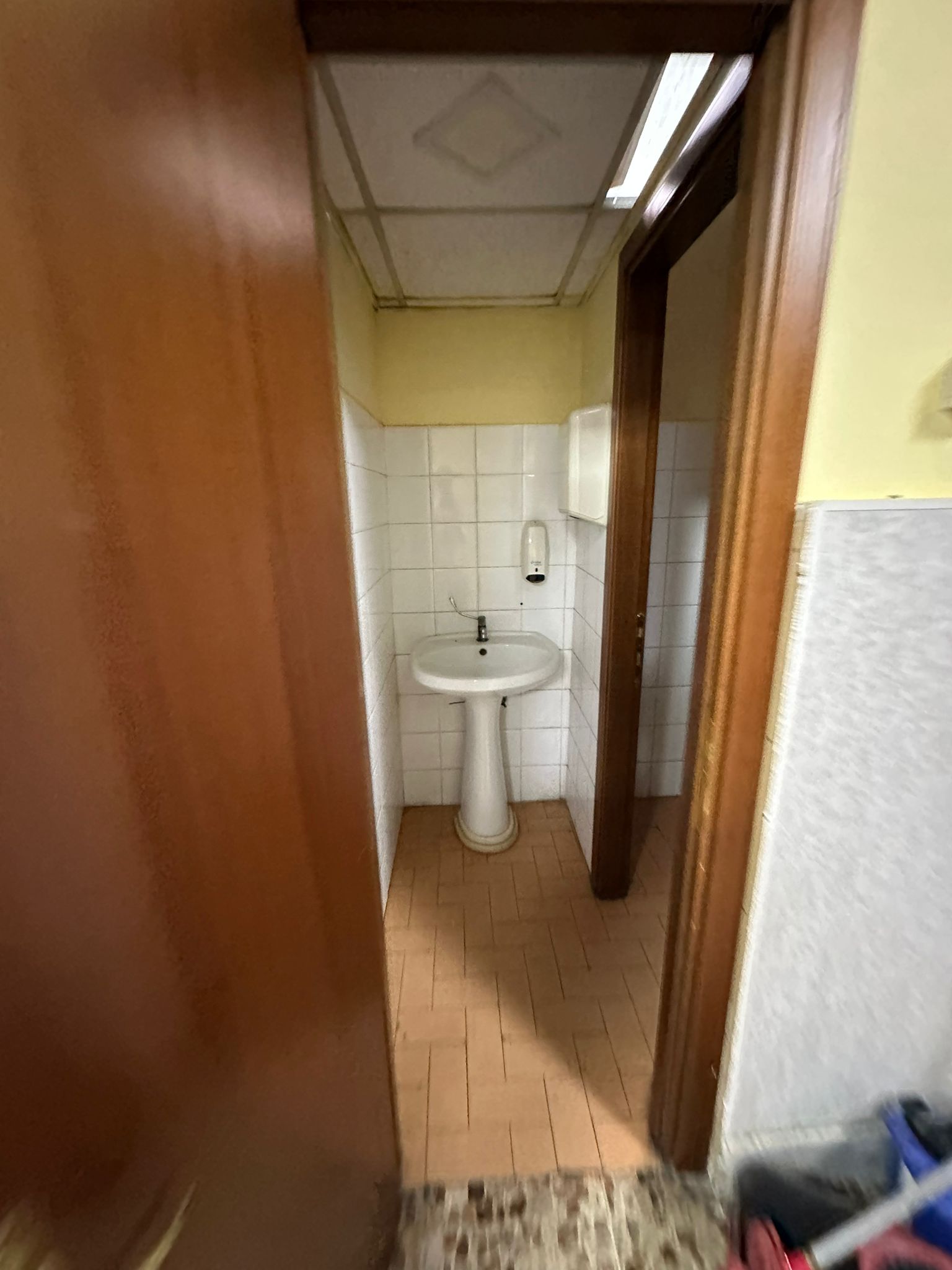 /api/file/public/265483/31652