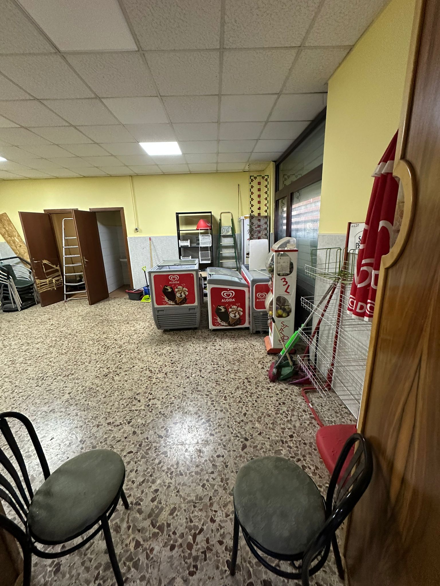 /api/file/public/265483/31655