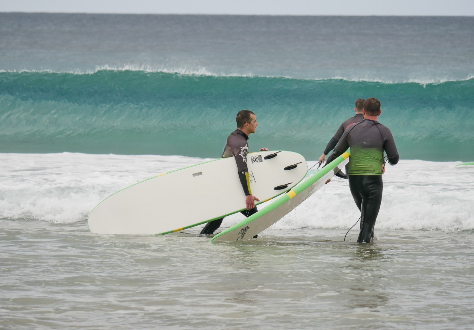 /api/file/public/265490/31747