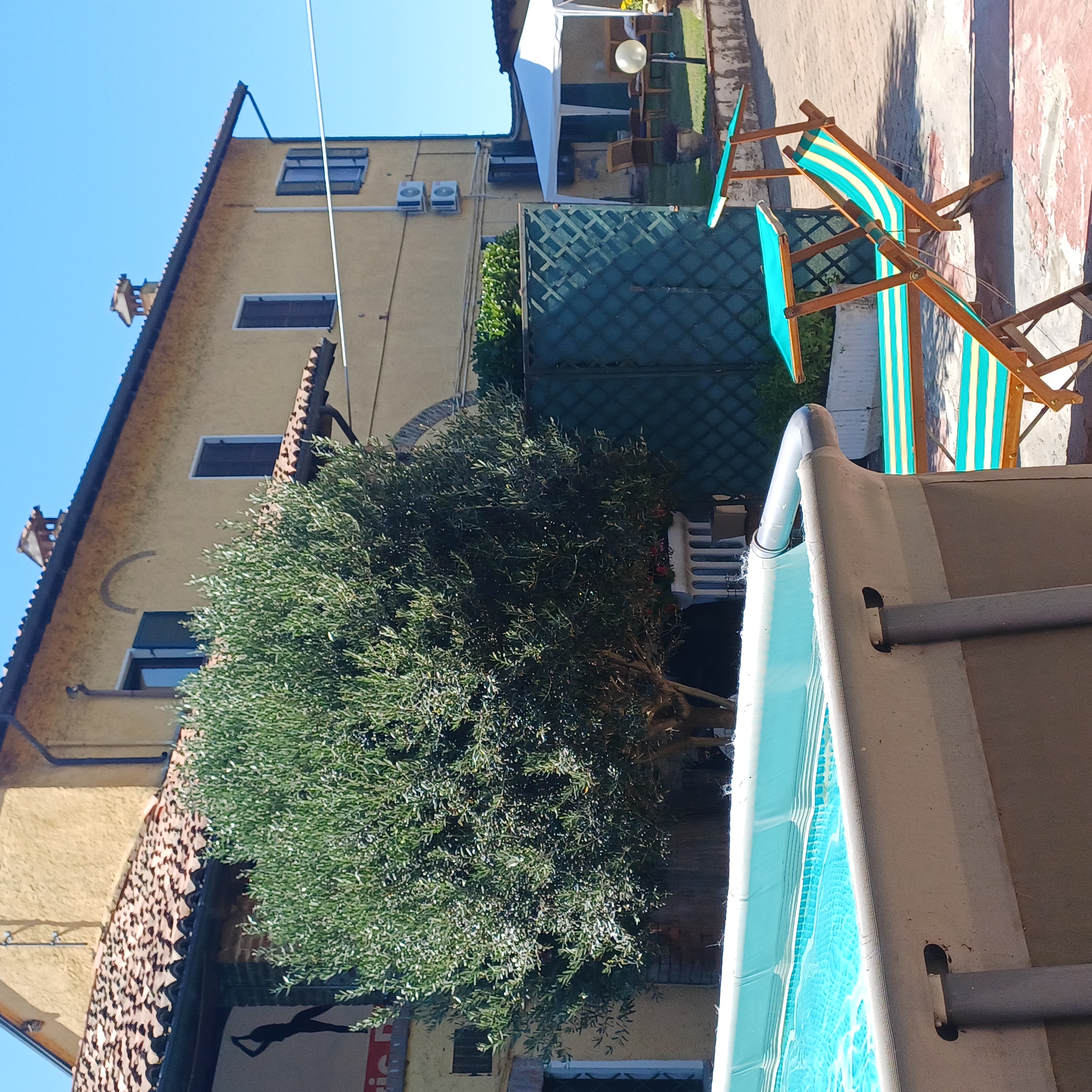 /api/file/public/265495/31750