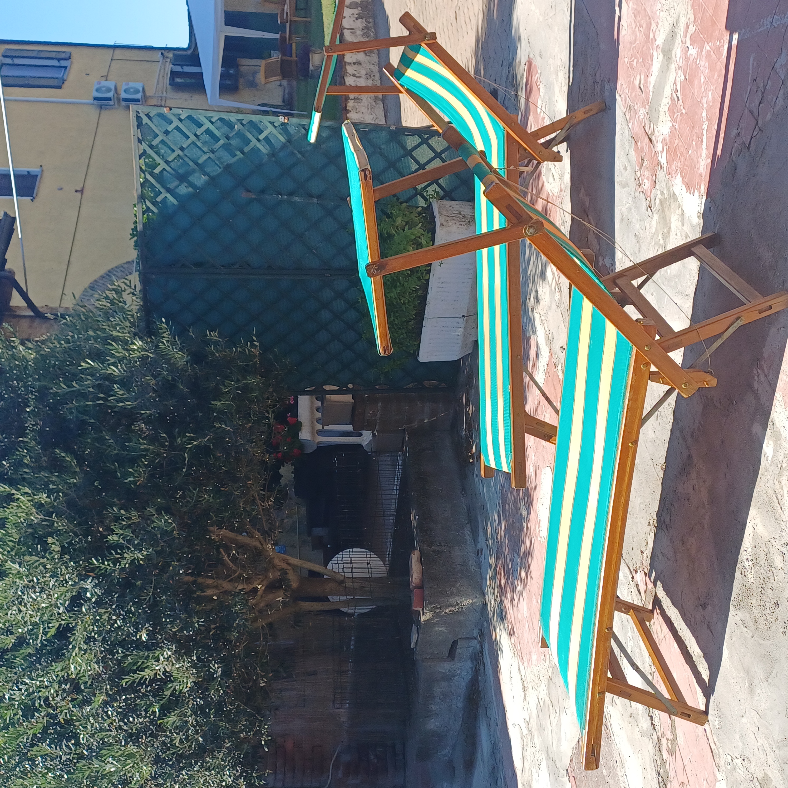 /api/file/public/265495/31751