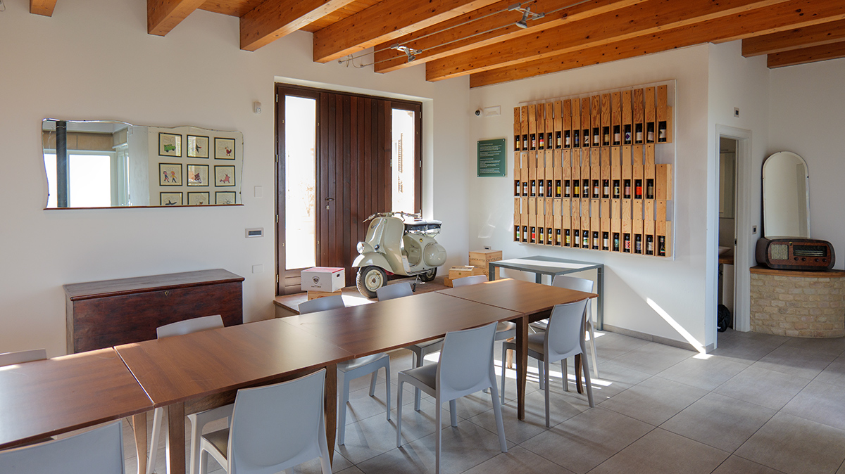 /api/file/public/265496/31702