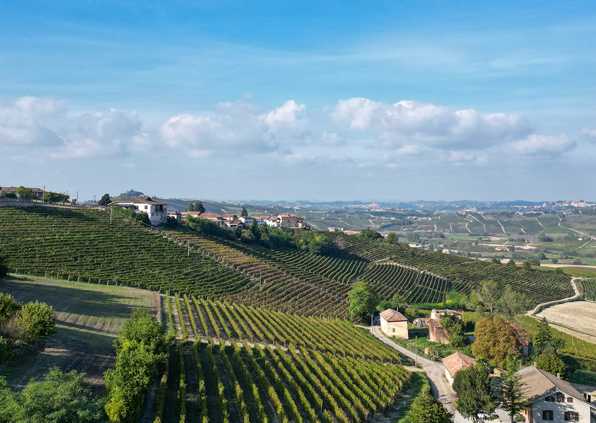 /api/file/public/265496/31716