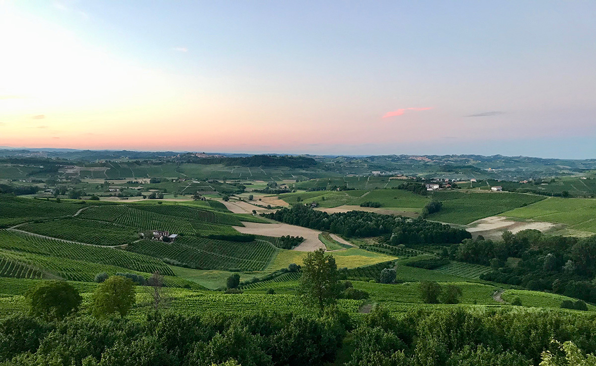 /api/file/public/265496/31719