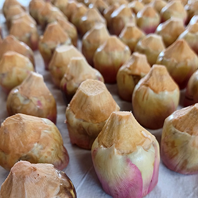 /api/file/public/265502/31776