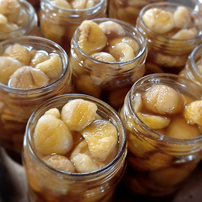 /api/file/public/265502/31780