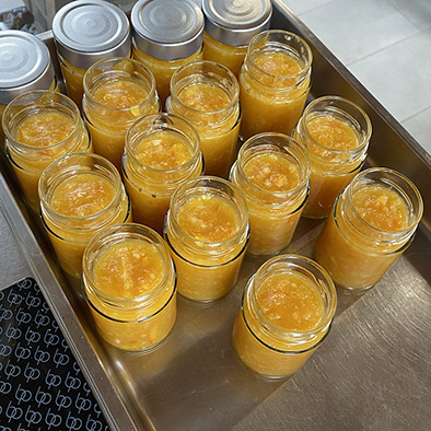 /api/file/public/265502/31782