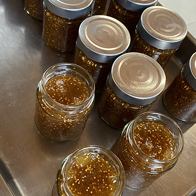 /api/file/public/265502/31783