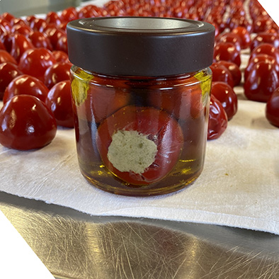 /api/file/public/265502/31784