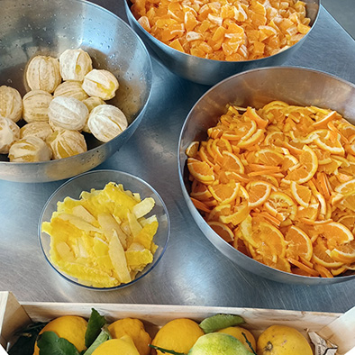 /api/file/public/265502/31786