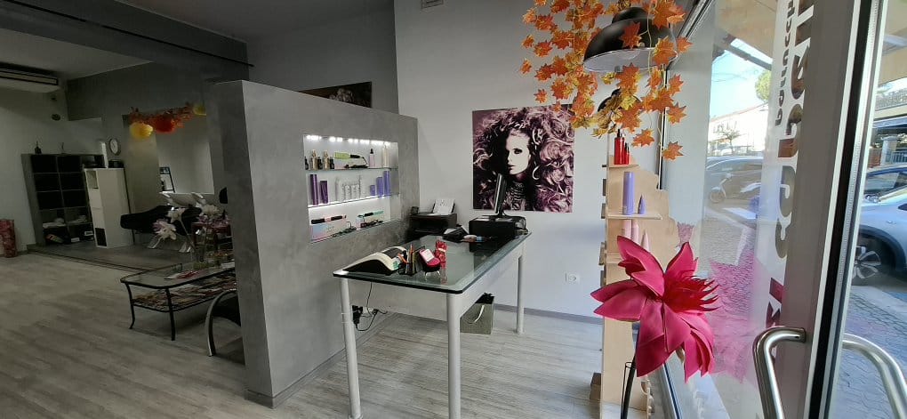 /api/file/public/265506/31812