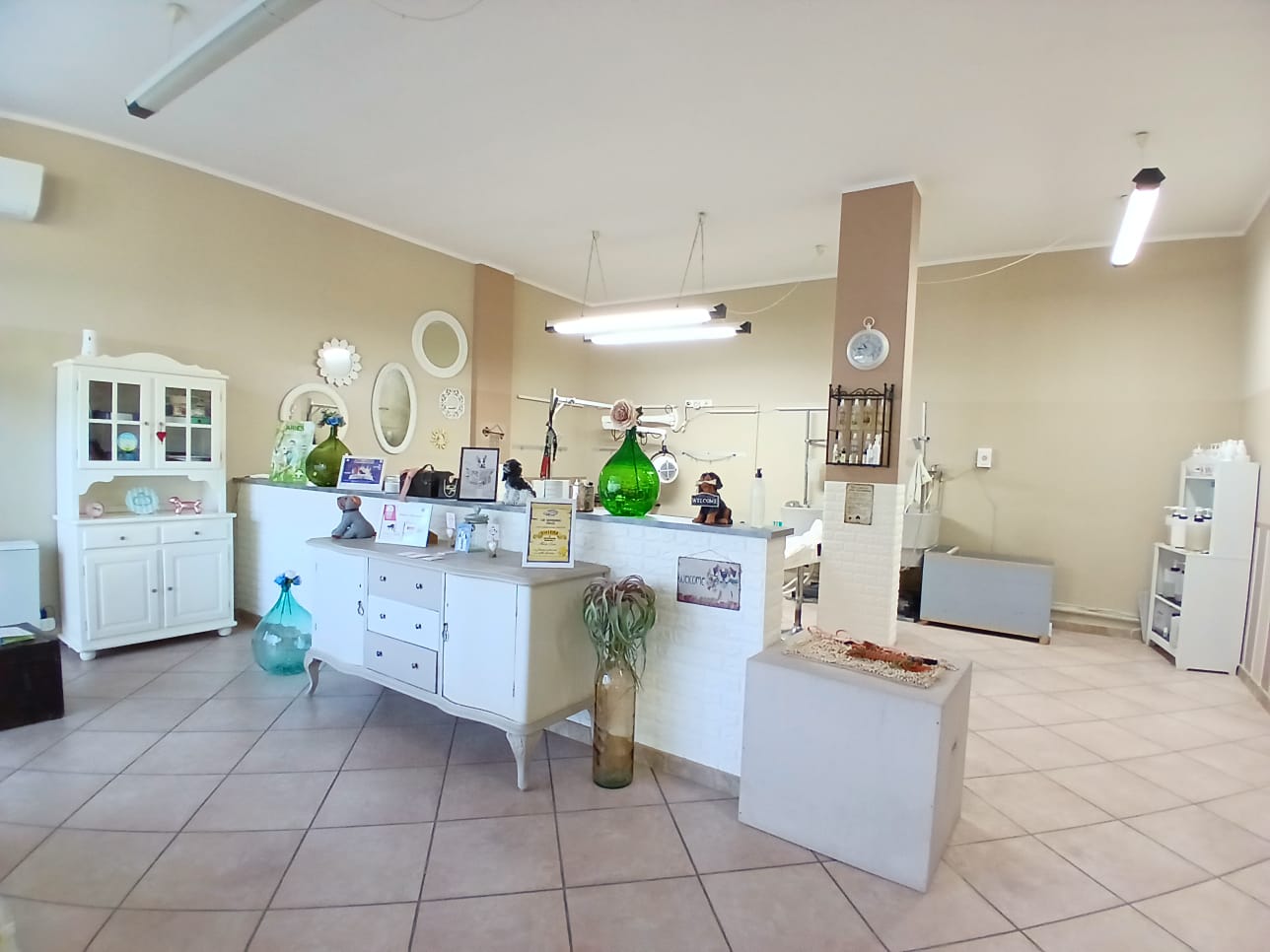 /api/file/public/265507/31814