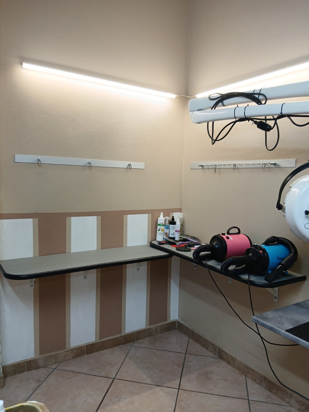 /api/file/public/265507/31815