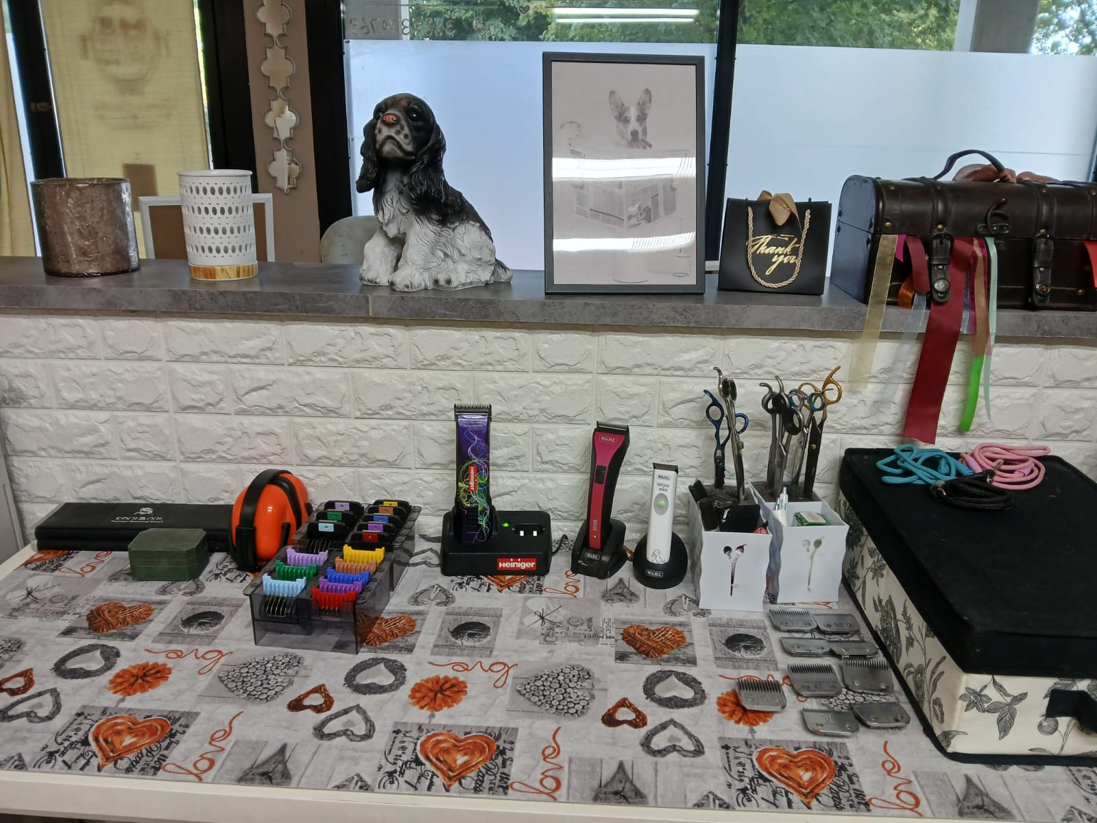 /api/file/public/265507/31818