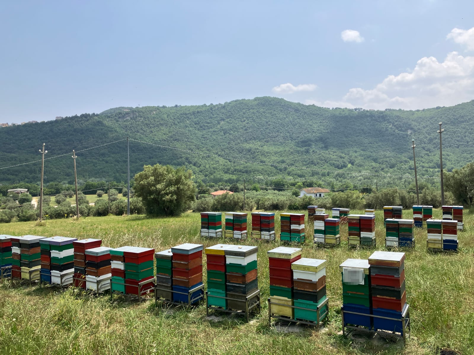 /api/file/public/265508/31826