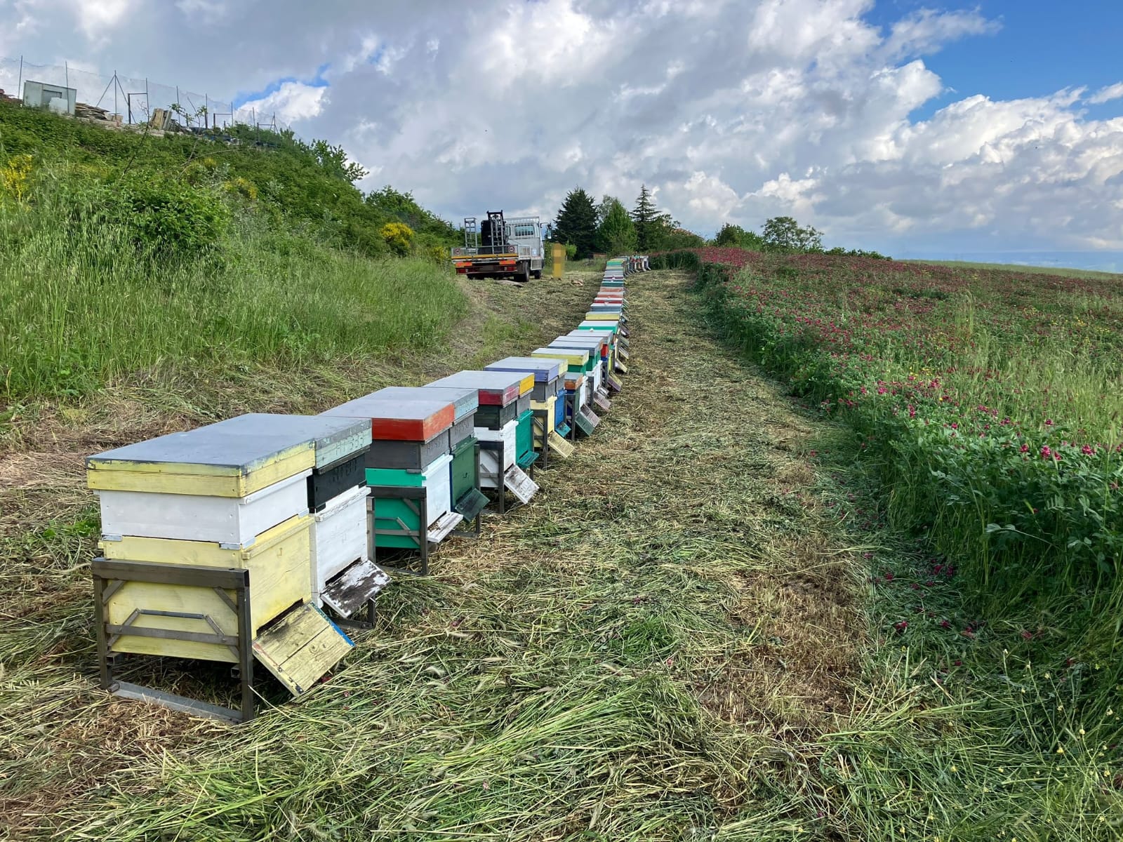 /api/file/public/265508/31828