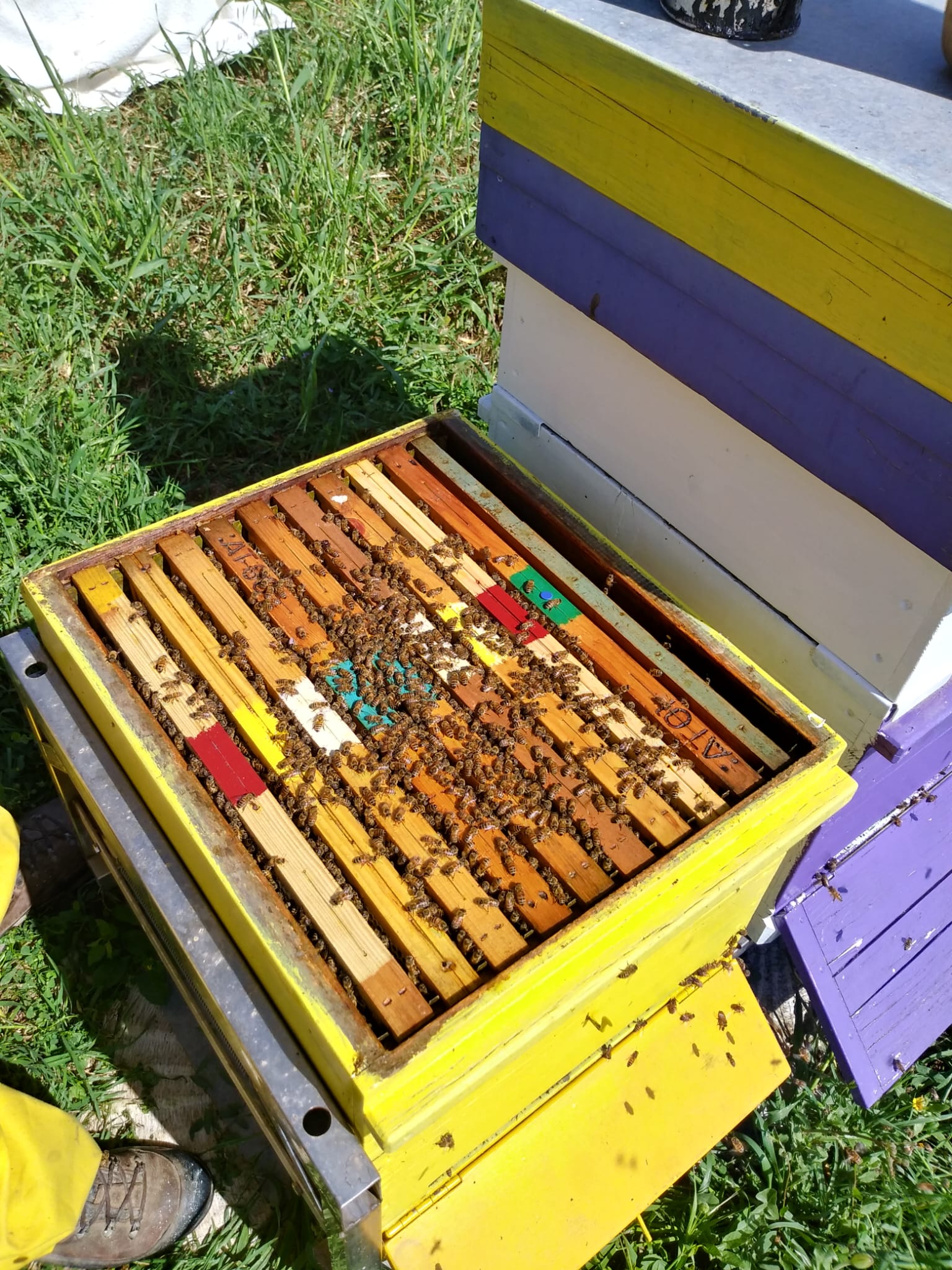 /api/file/public/265508/31829