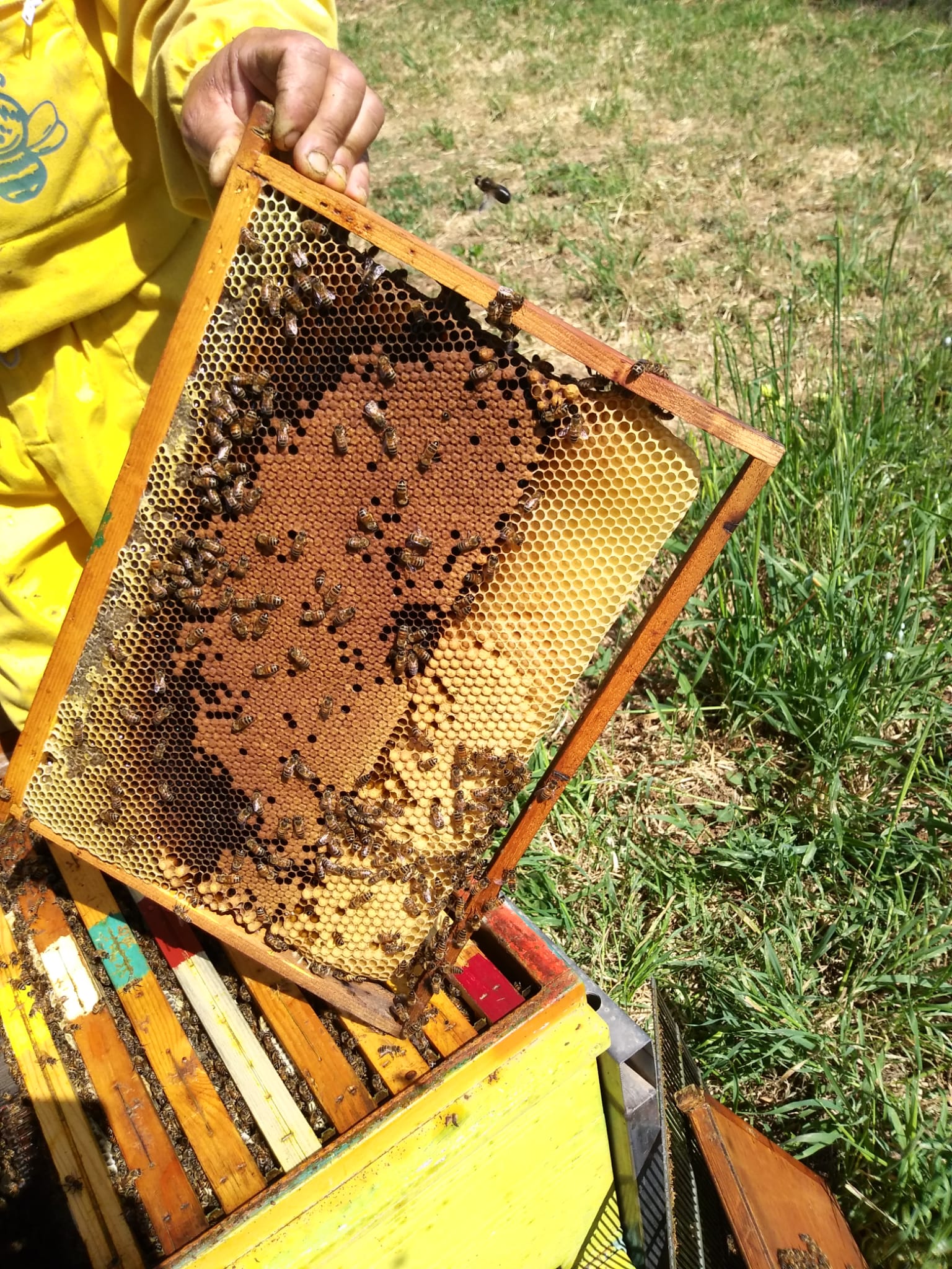 /api/file/public/265508/31830