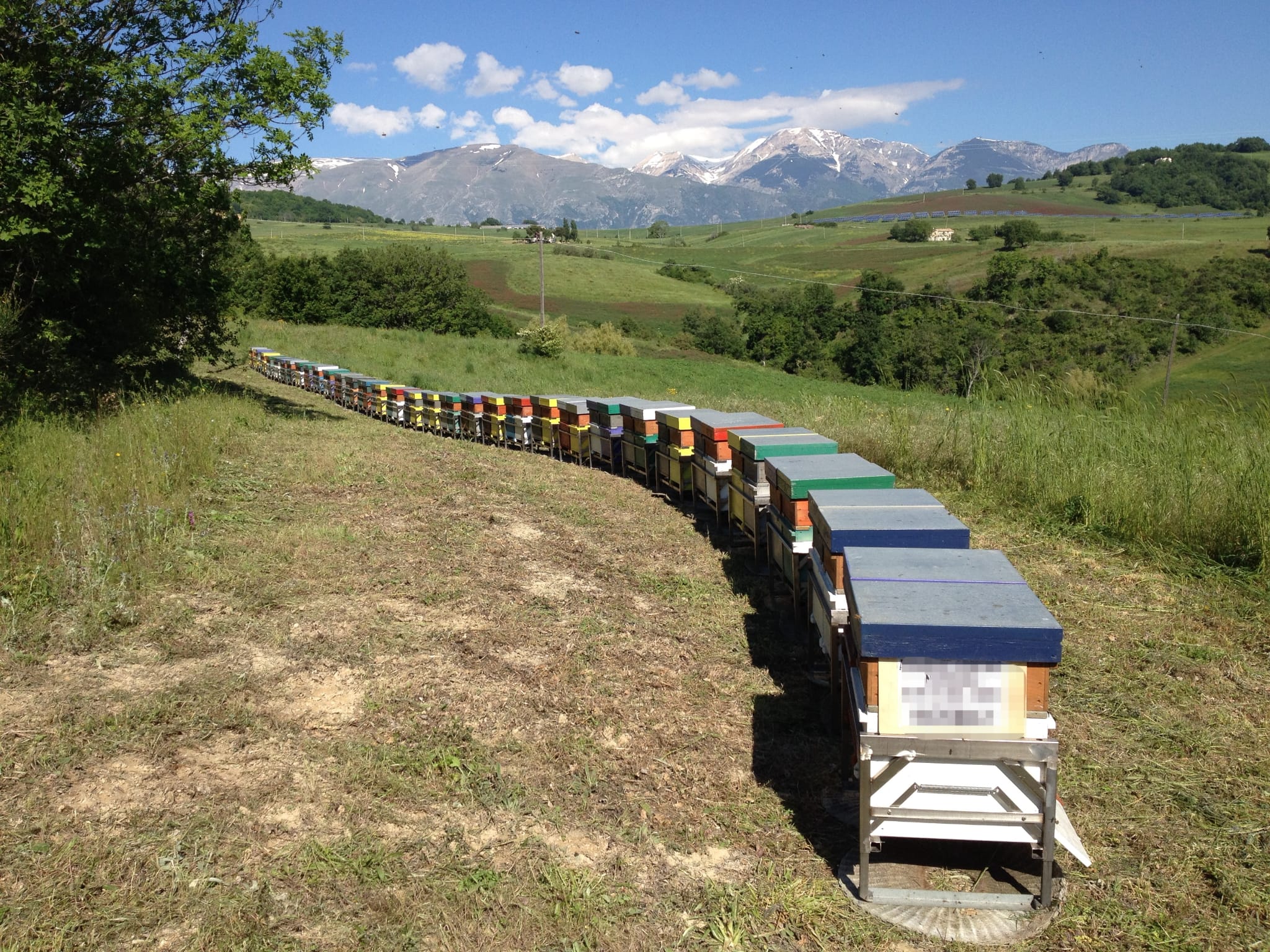 /api/file/public/265508/31831