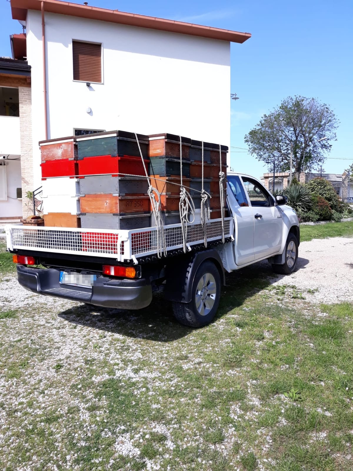 /api/file/public/265508/31832