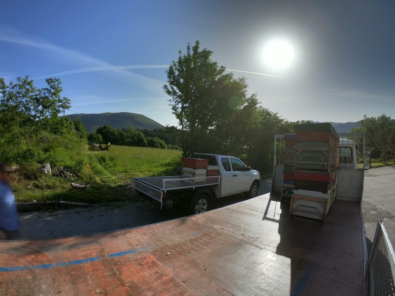 /api/file/public/265508/31833