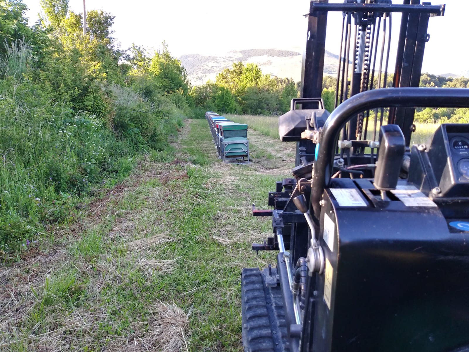 /api/file/public/265508/31835