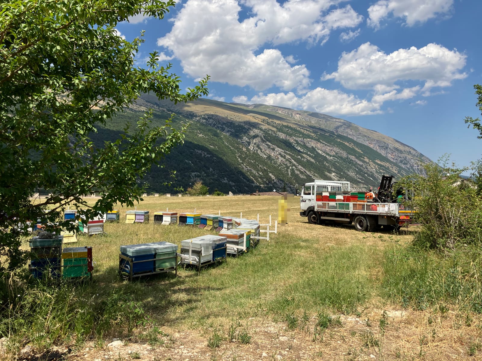 /api/file/public/265508/31836