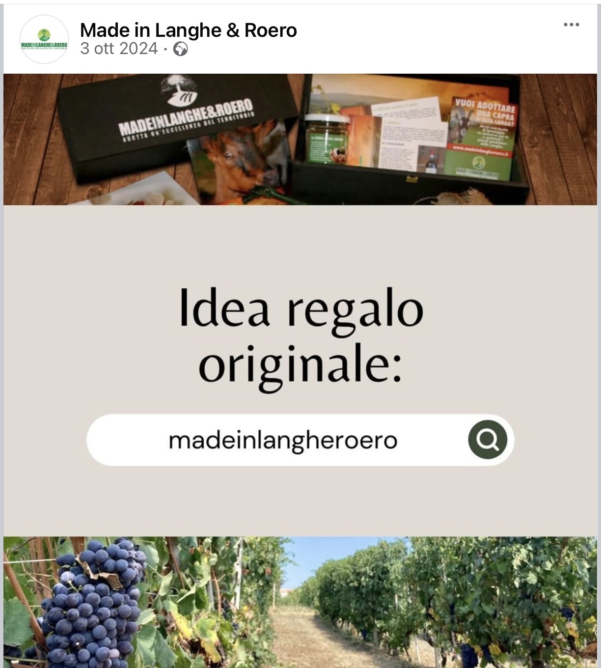 /api/file/public/265509/31837