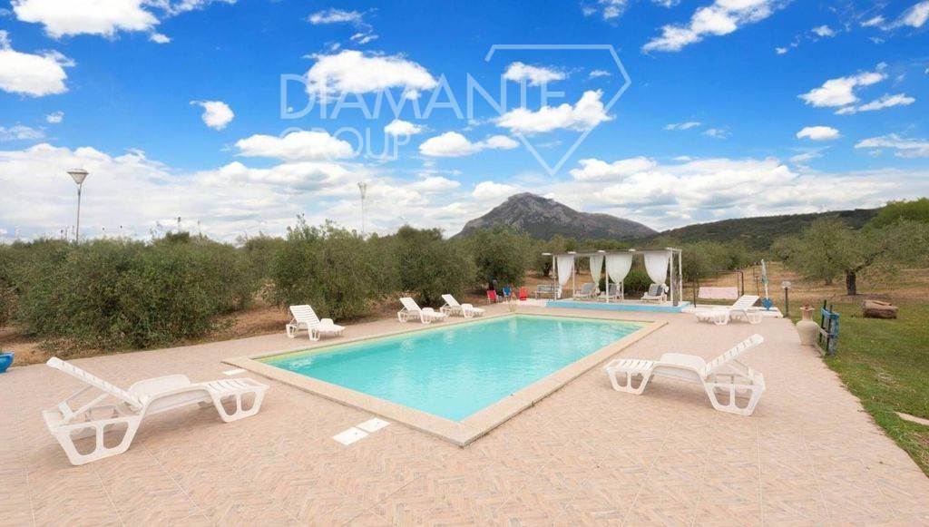 /api/file/public/265512/31848