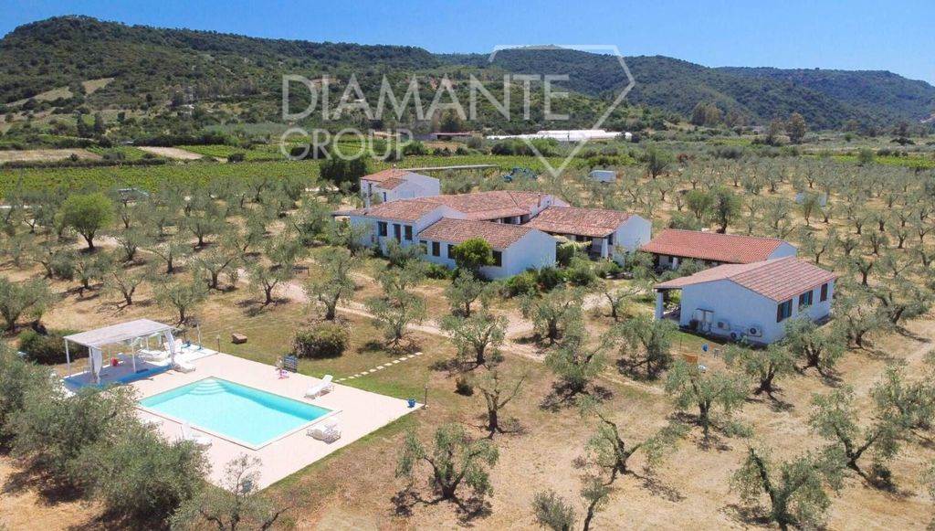 /api/file/public/265512/31850