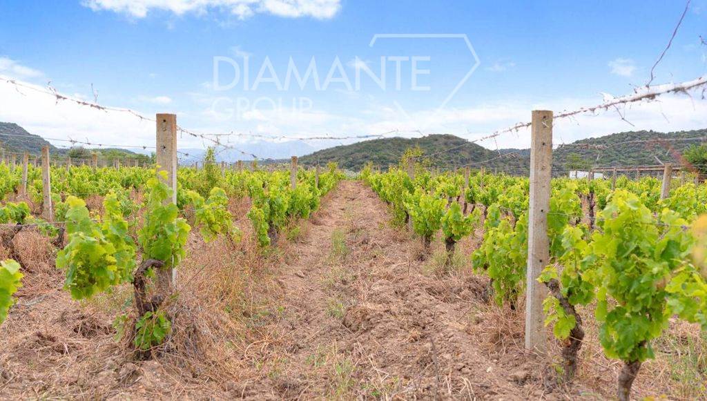 /api/file/public/265512/31851