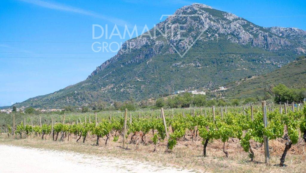 /api/file/public/265512/31852