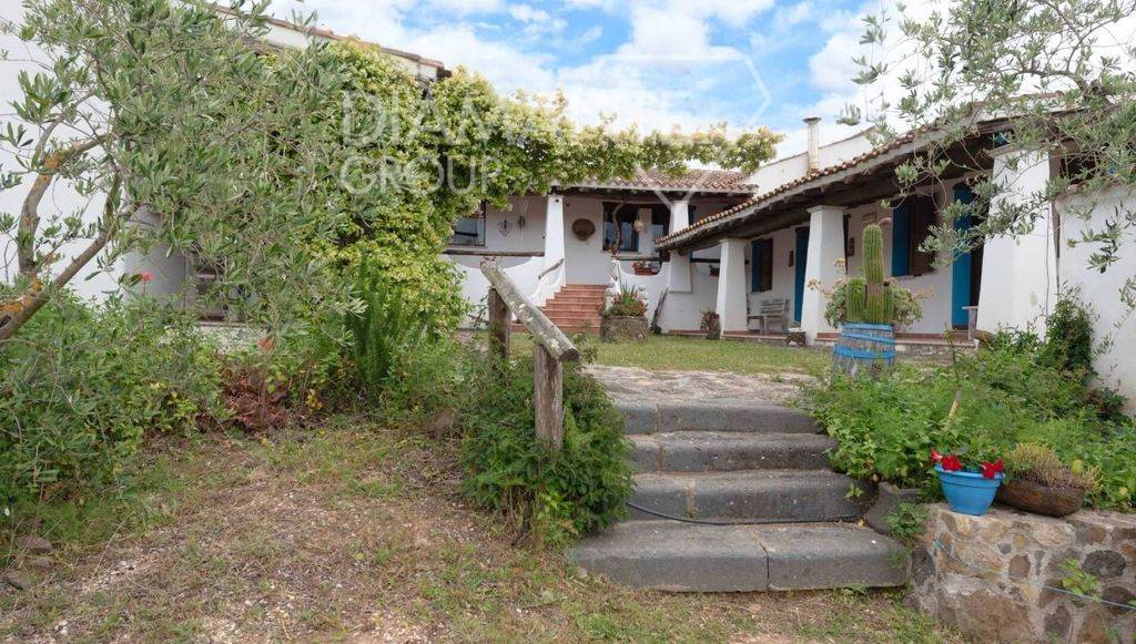 /api/file/public/265512/31853