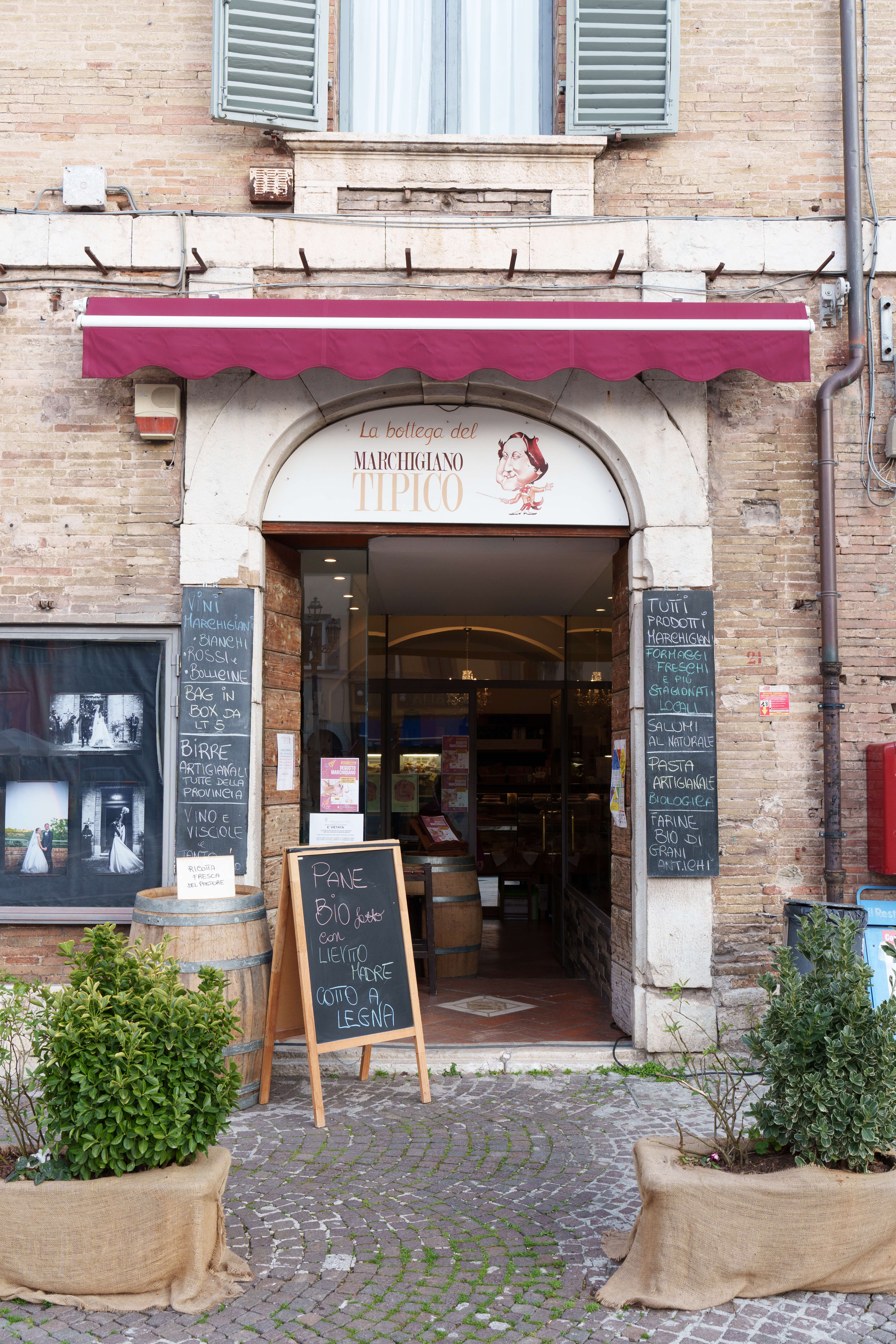 /api/file/public/265518/31873