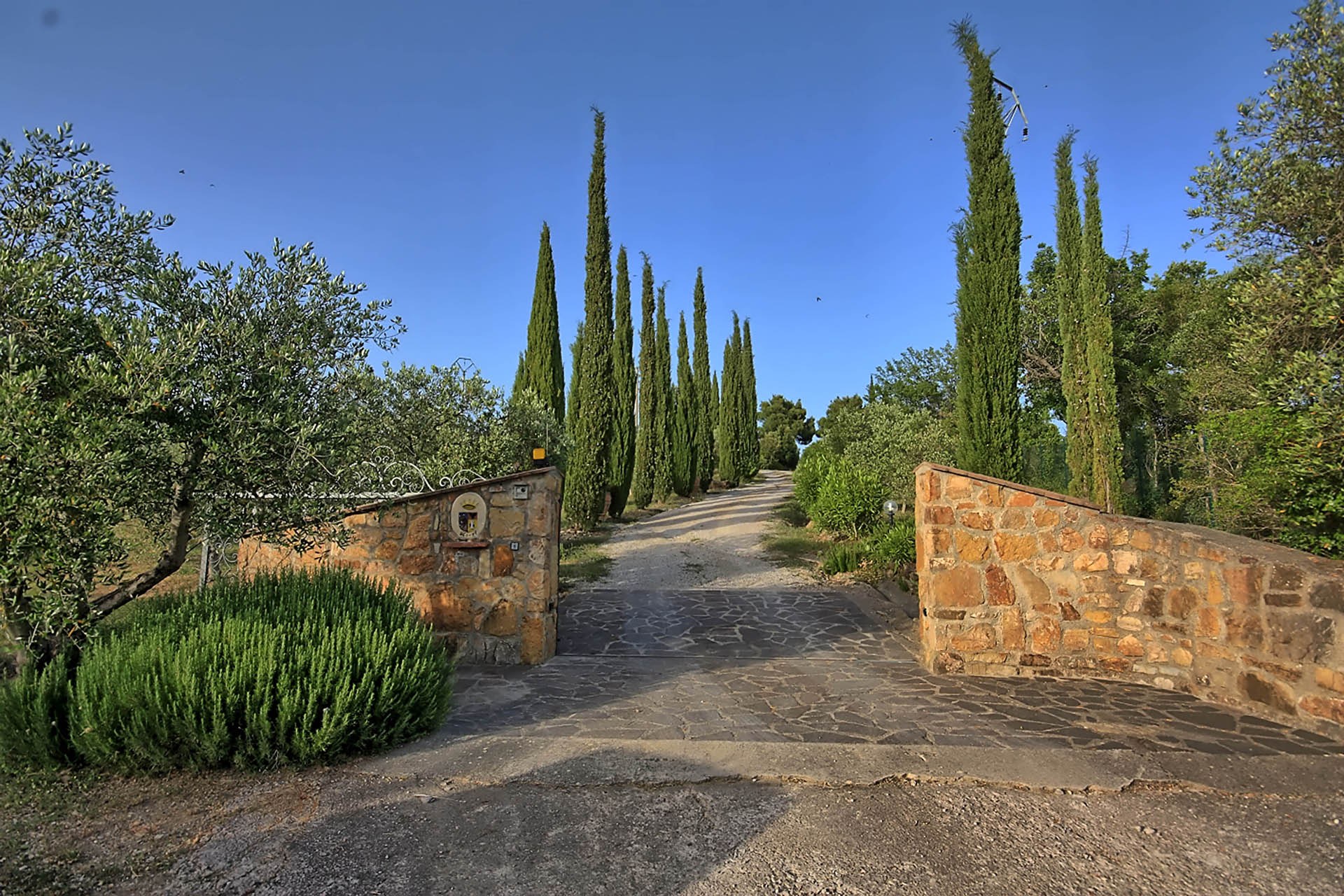 /api/file/public/265558/32190