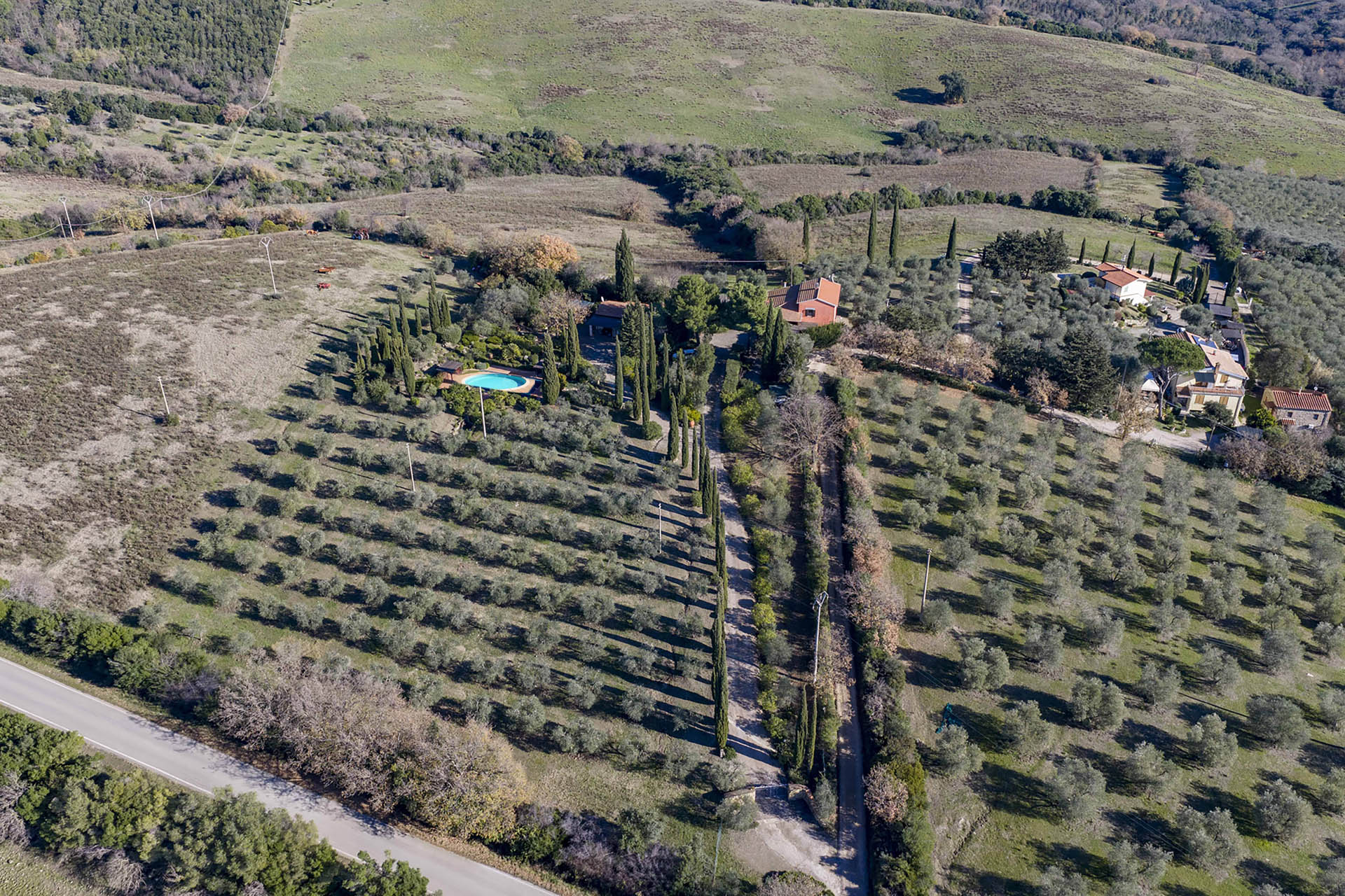 /api/file/public/265558/32191