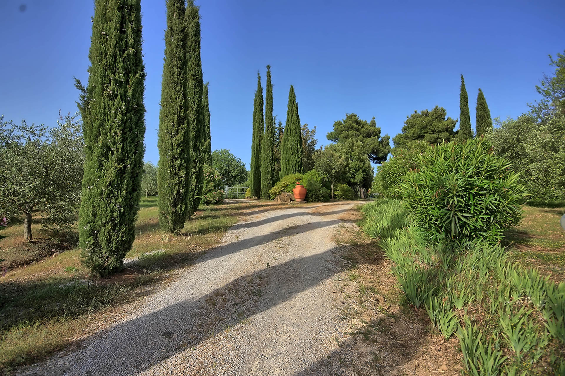 /api/file/public/265558/32193