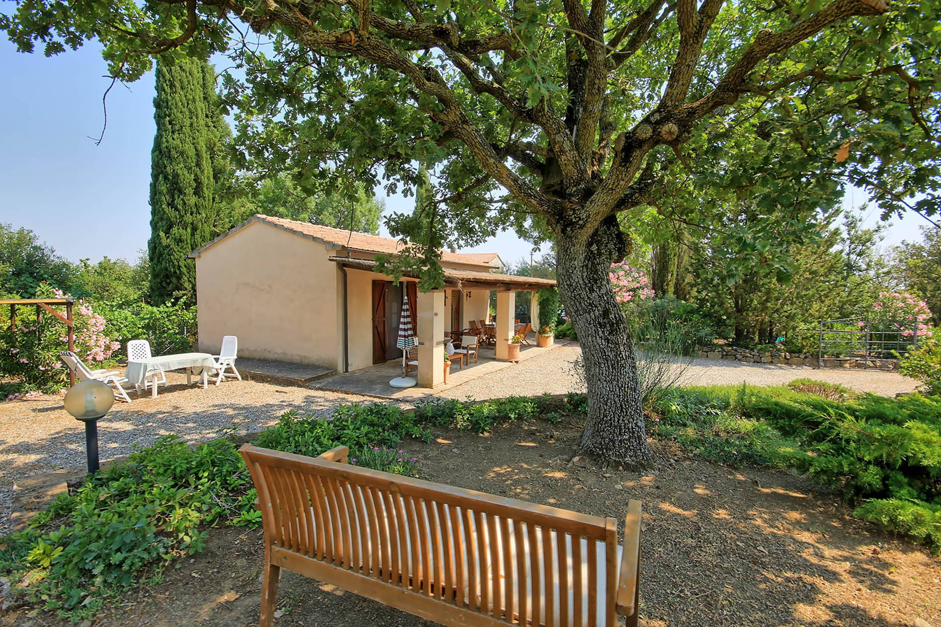 /api/file/public/265558/32194