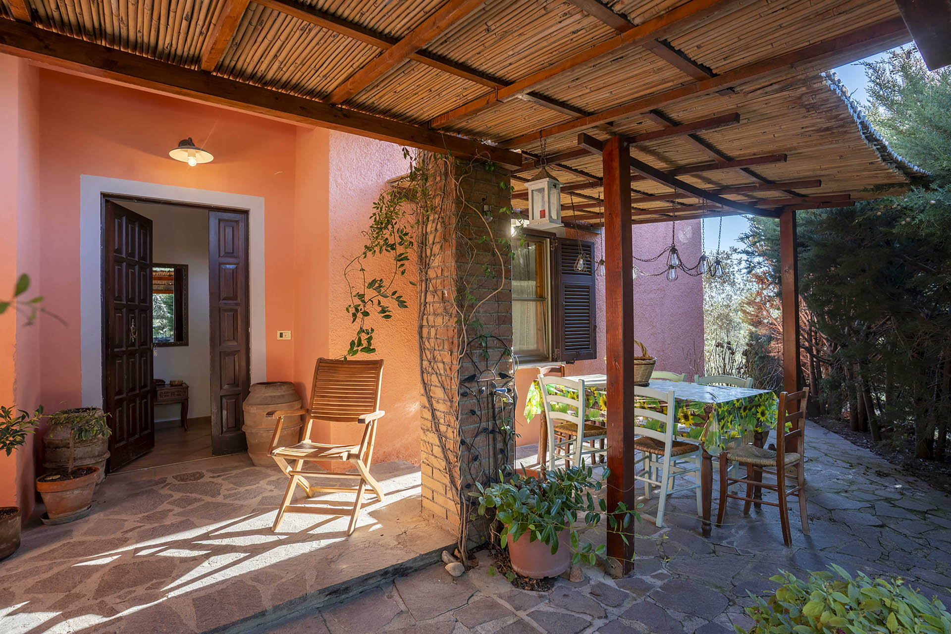 /api/file/public/265558/32203