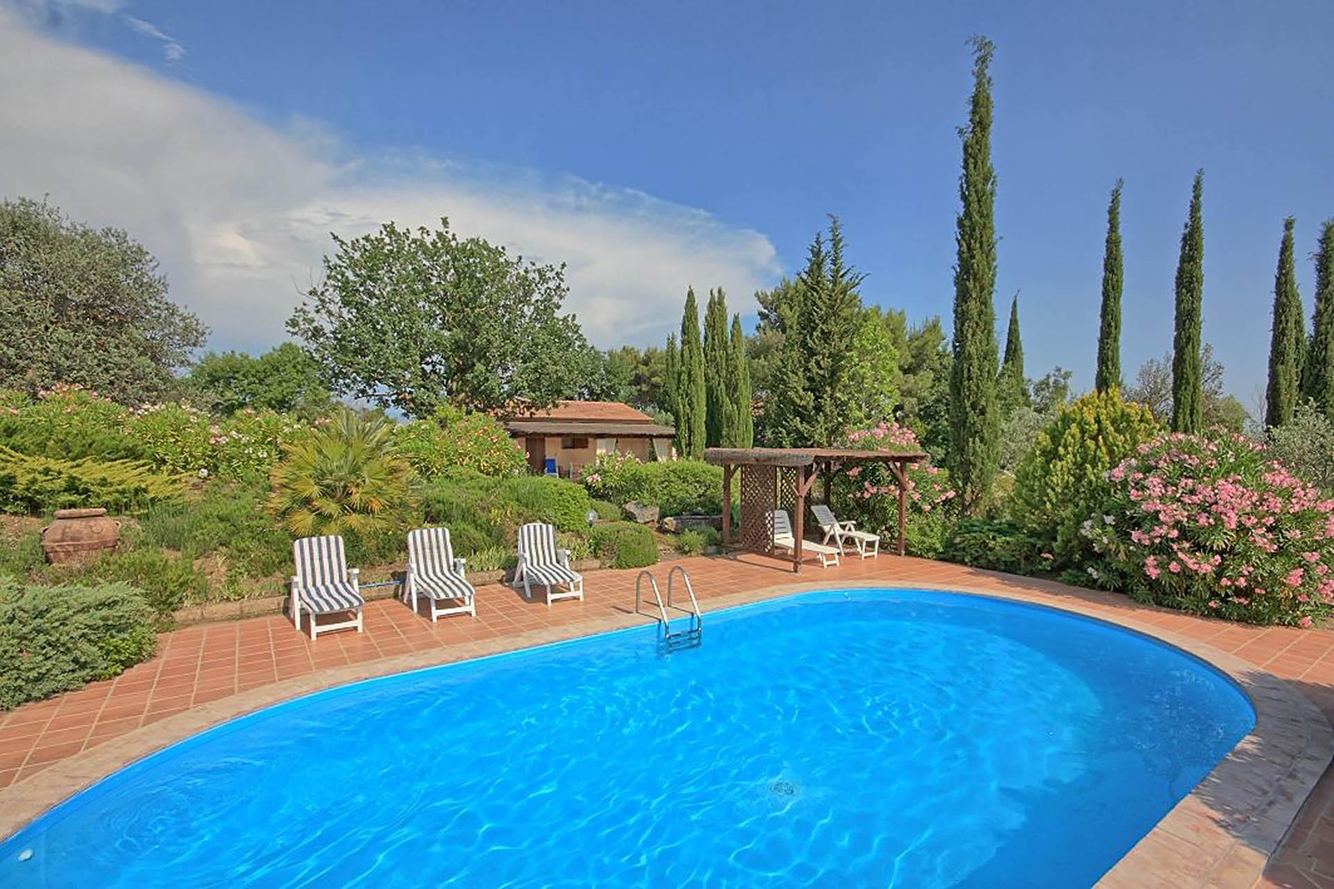 /api/file/public/265558/32221