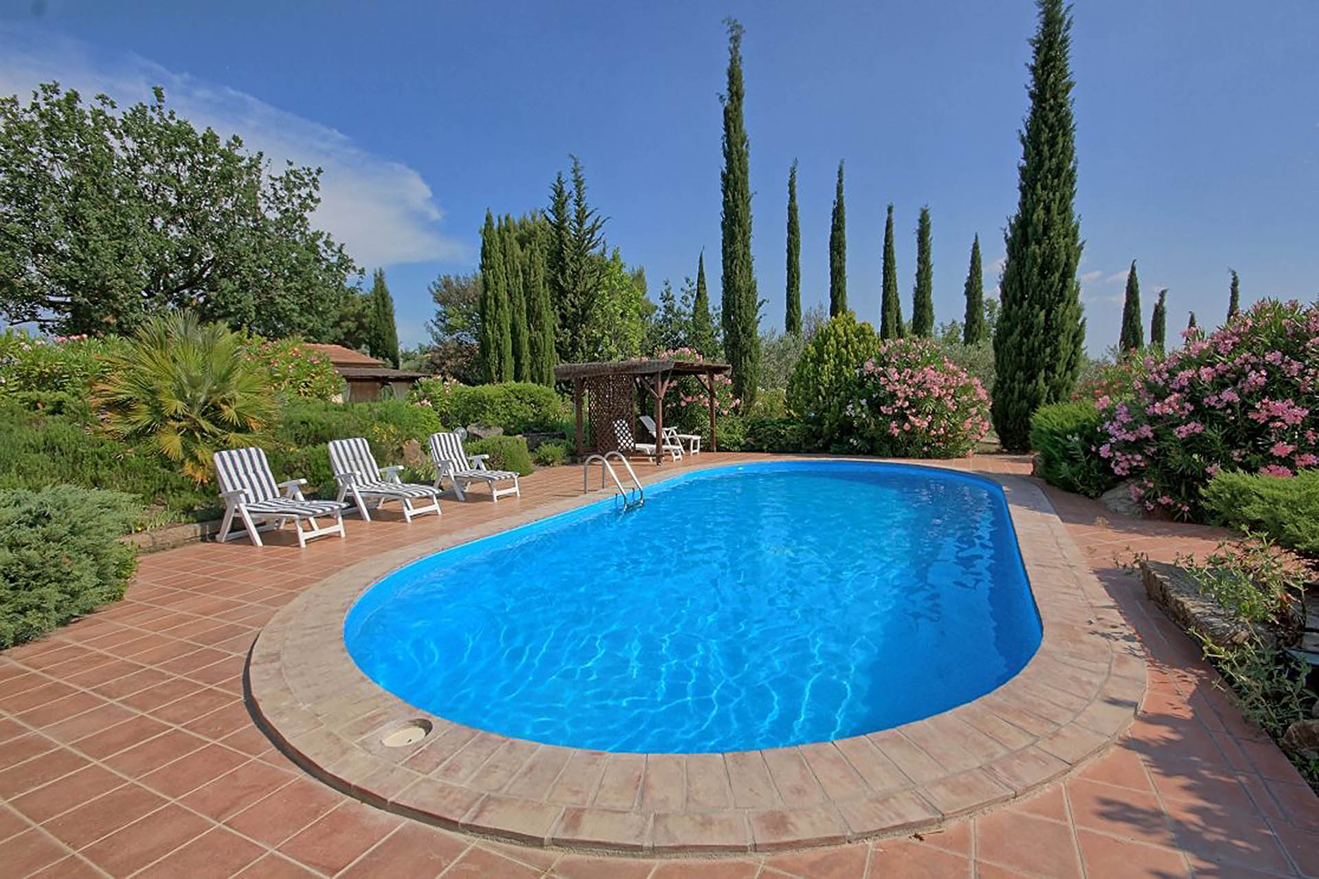 /api/file/public/265558/32222