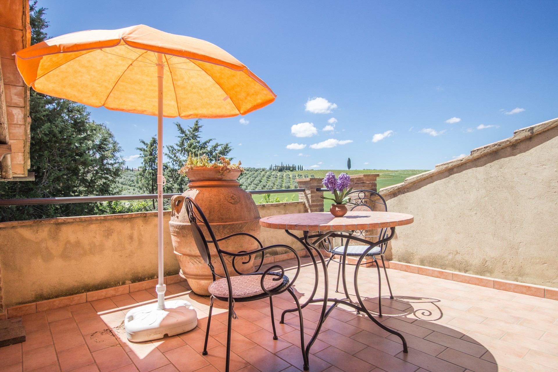 /api/file/public/265559/31971